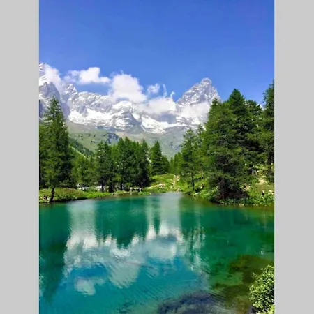 Vakantiehuis Il Dolce Ulivo *