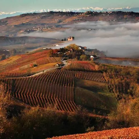 Il Dolce Ulivo 度假居 Cascinette