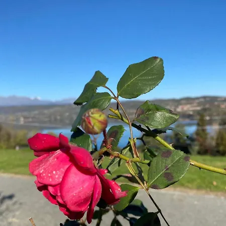 בית נופש Il Dolce Ulivo