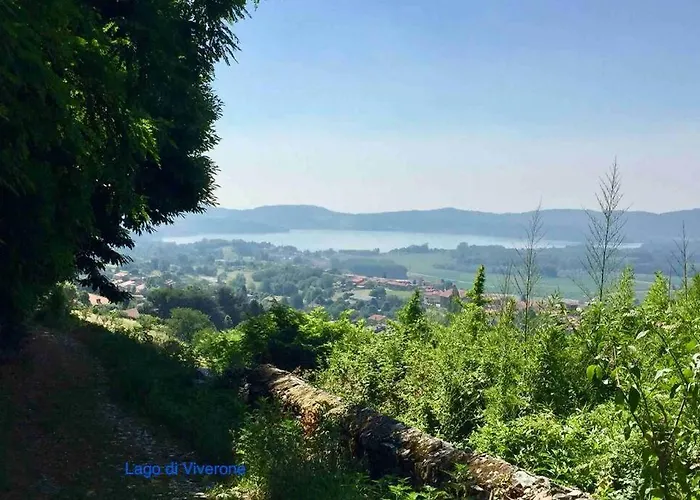 Il Dolce Ulivo * Cascinette