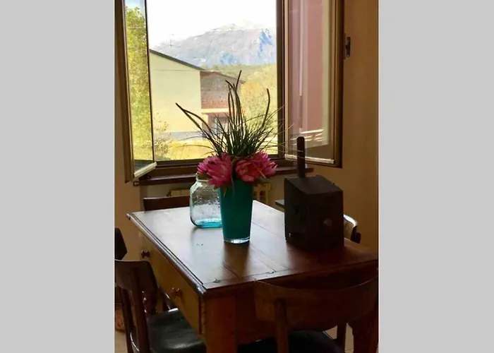 Il Dolce Ulivo *
