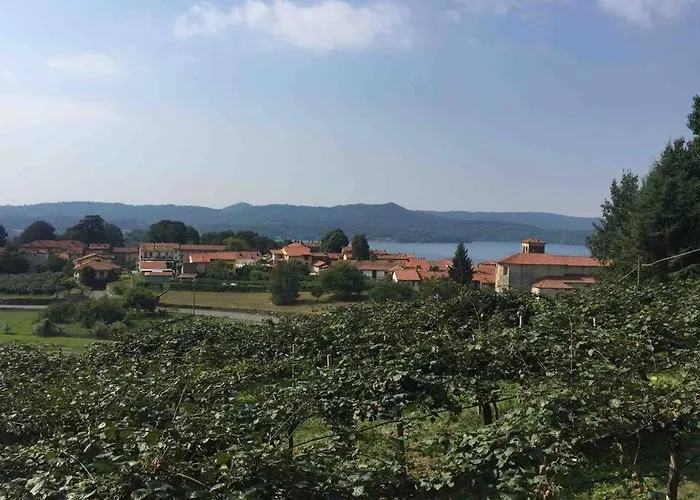 Il Dolce Ulivo *