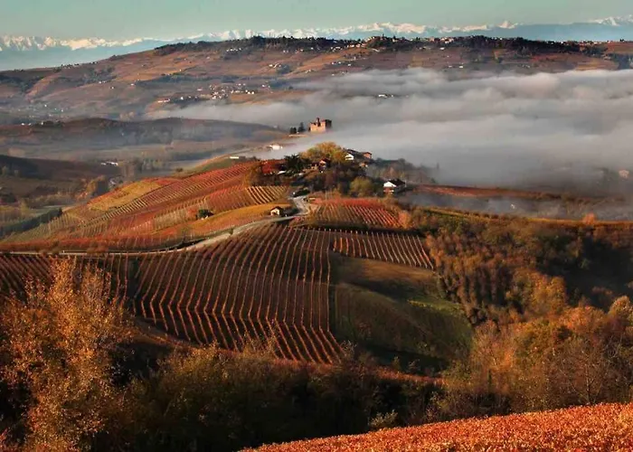 Il Dolce Ulivo Сasa de vacaciones Cascinette